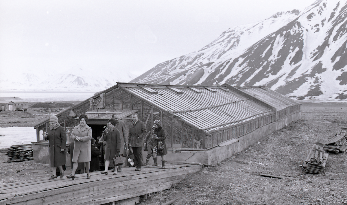 Kulturutveksling i Pyramiden, 1975. Den norske delegasjonen fikk omvisning i Pyramidens drivhus/veksthus av Alla Sapegina.  