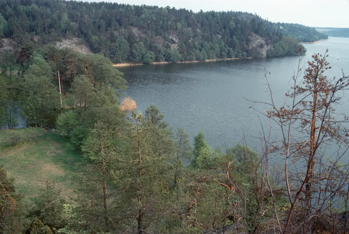 Tullingesjön mot SÖ.