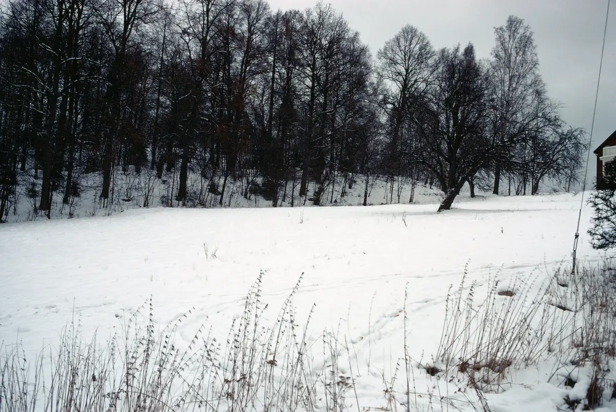 Gravfält B 226 vid Tullinge gård.