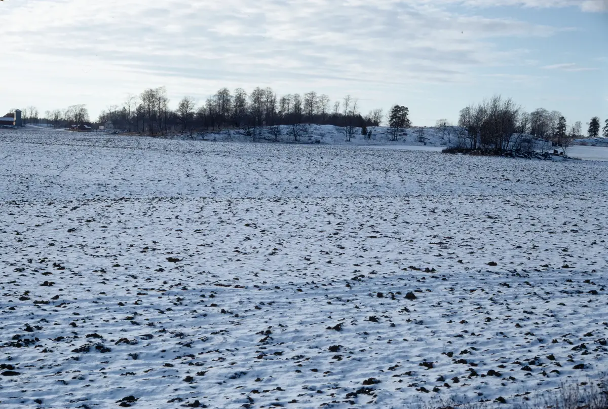 Gravfält B 29-30 Ö om Önsta; från SSÖ.