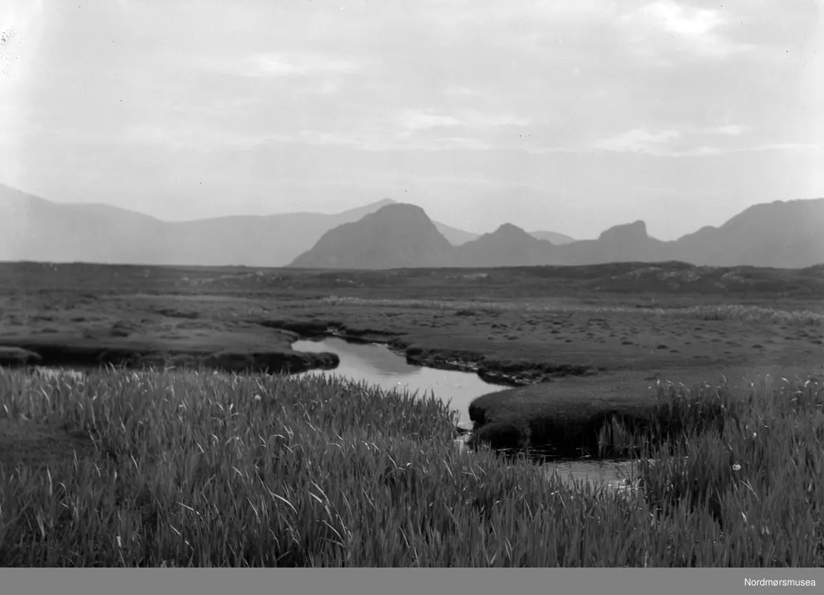 Myrlandskap. Det er ukjent hvor og når bildet er fotografert. Fra arkivet etter John Myren.