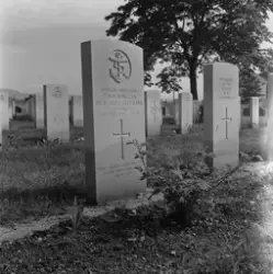 Gravsten til Surgeon Lieutenant D.N.B Morgan.