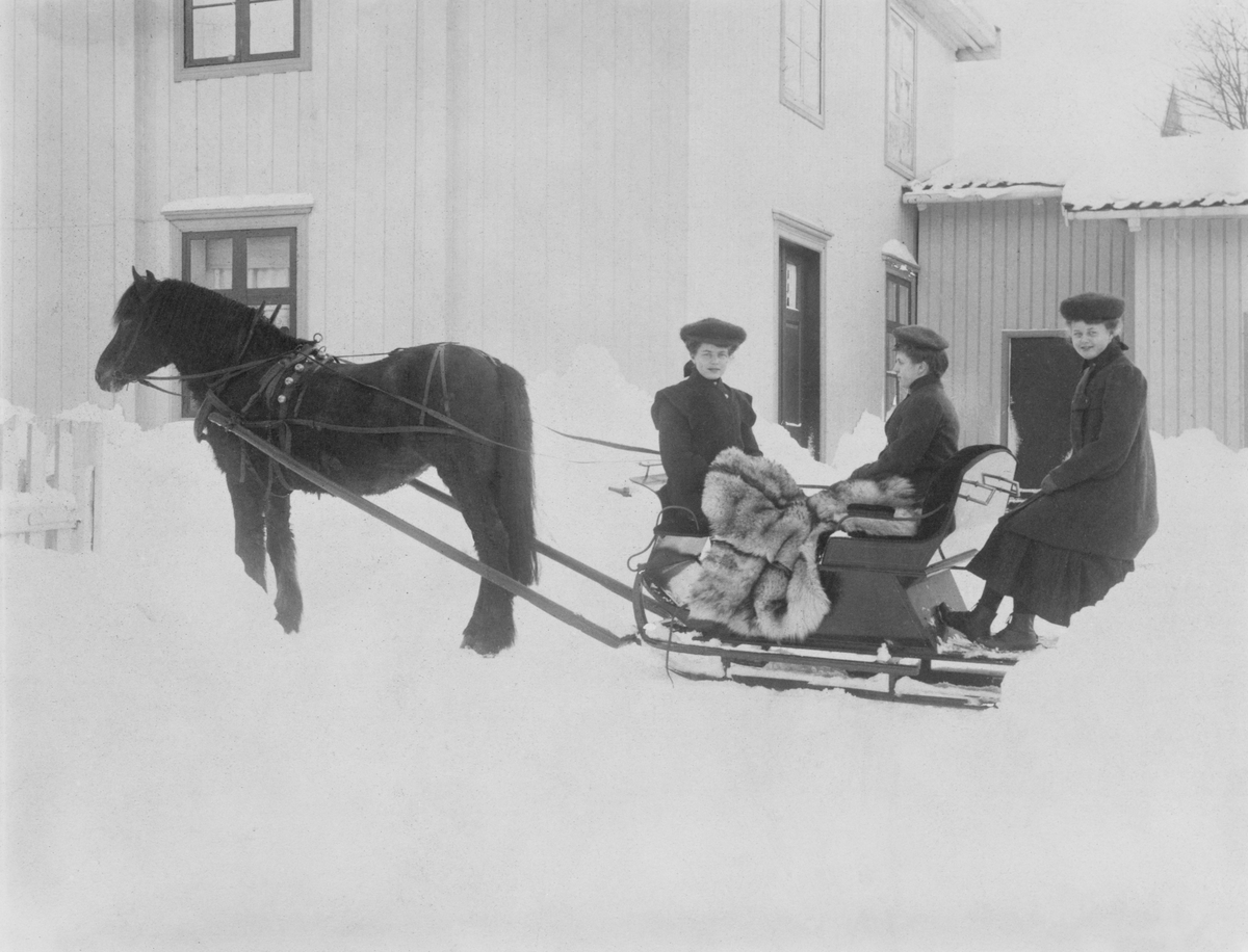 Repro: Gårdsplass med hest med spisslede, tre damer.