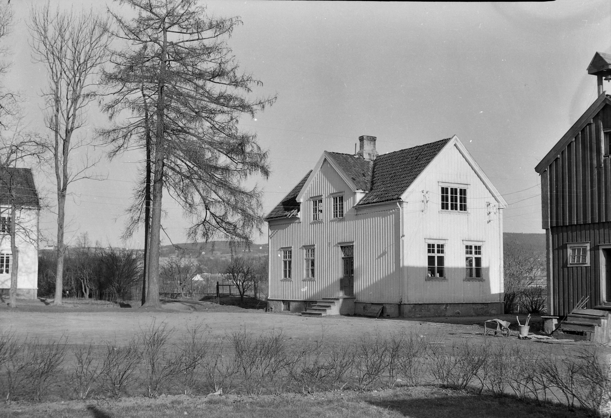 Stavne skole