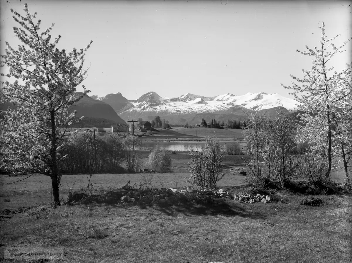 "Nesjestranda"