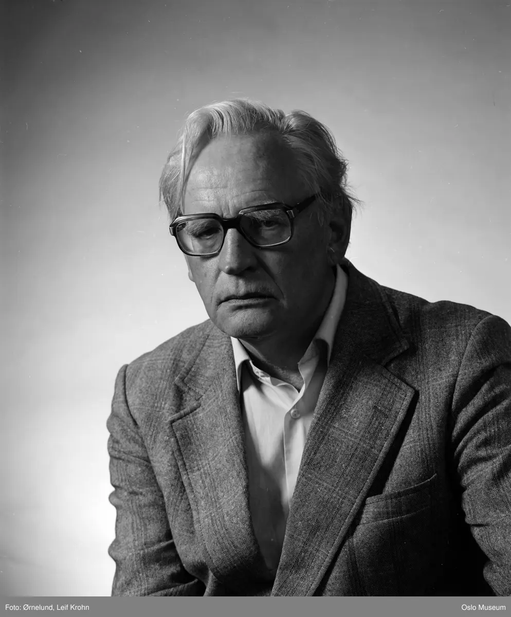 portrett, mann, forfatter, oversetter, journalist, brystbilde