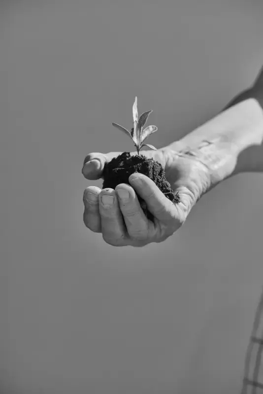 Linarbeid Vågå Lin