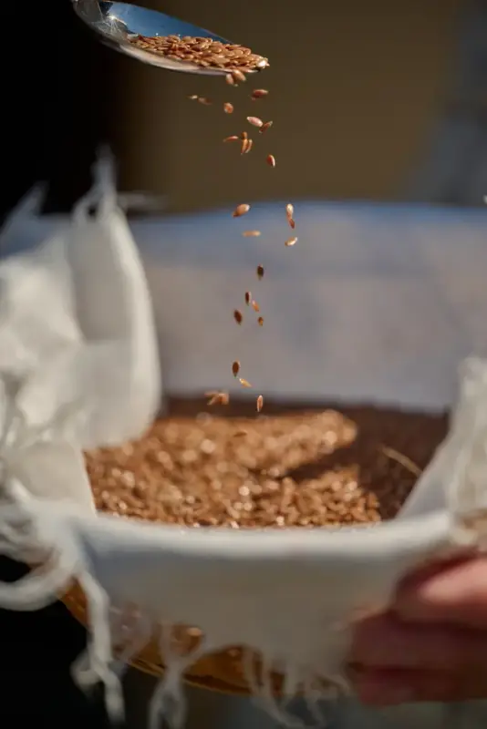 Linarbeid Vågå Lin