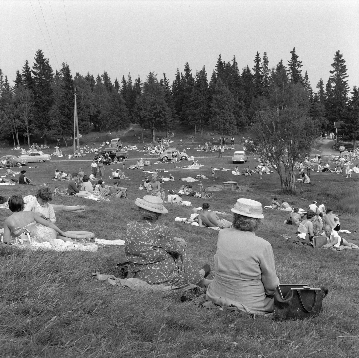 Folkeliv ved Lianvatnet