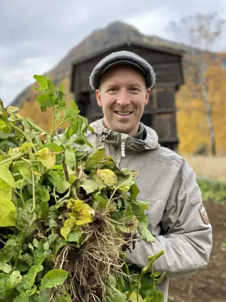 Potetplukking i Lom. Olav Tufte
