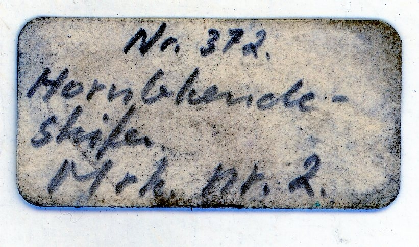 Bergskolens samling
Angitt i "Tillægs-Katalog til Sølvværkets Mineralsamling", Laurits Meinich 1865
under "5 Fahrter ned i Kongens Grube"

Etiketter:
406.
No. 2

406
No. 2
12 Ltr
1.4 mg

Nr. 372
Hornblendeskifer
Mrk. nr. 2

Nr. 371.
Hornblendeskifer
Mrk. nr. 2