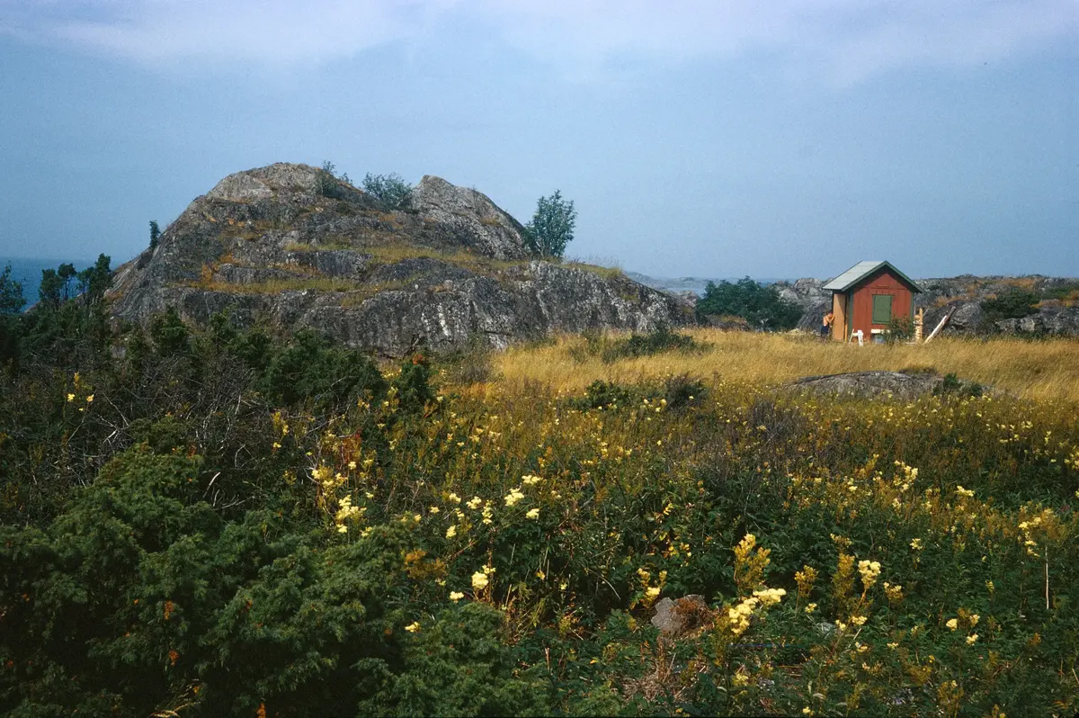 Landsort. "Uthus" vid Öja.