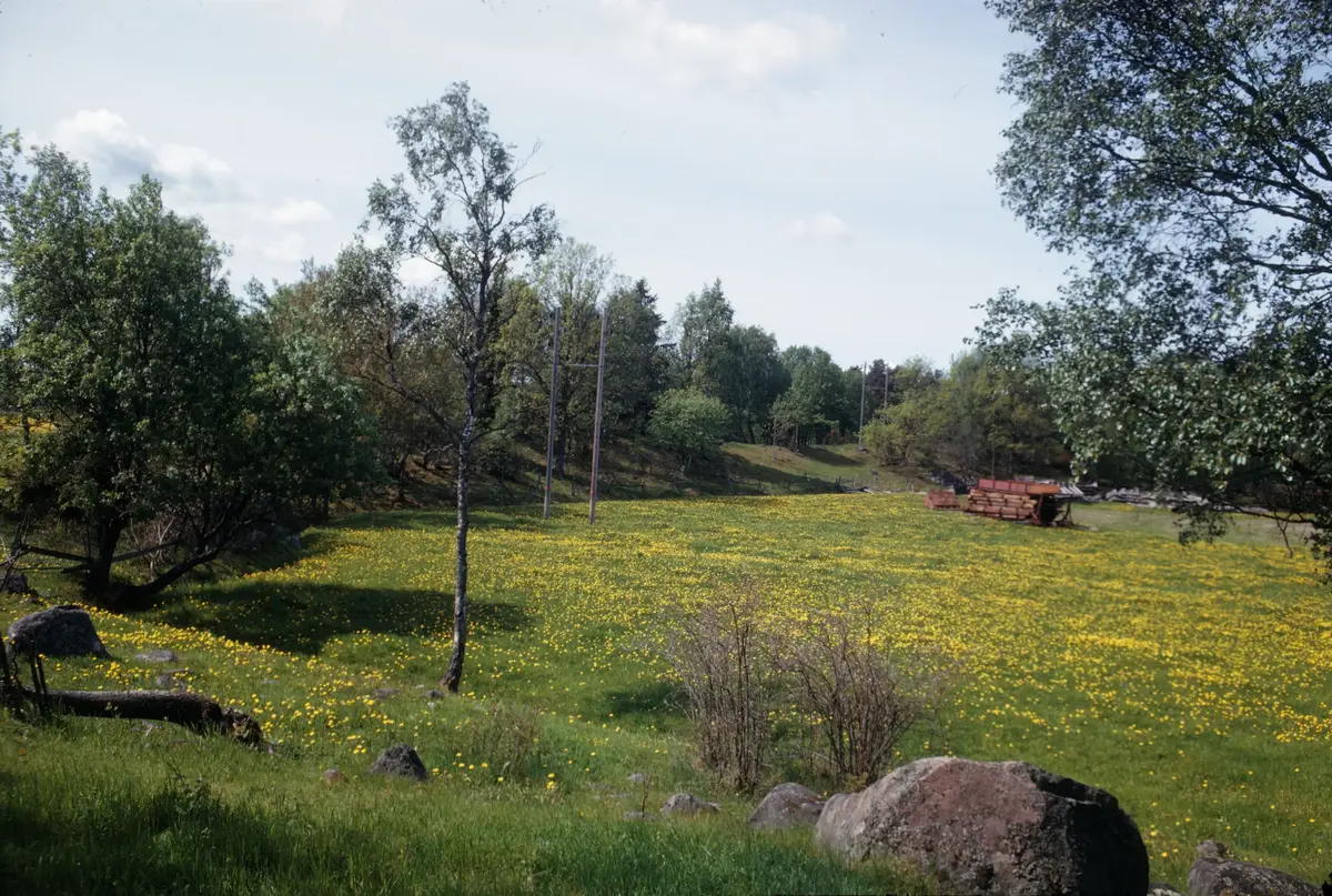 Täby. Ändmorän (med stensträngar) SÖ om Hagby.