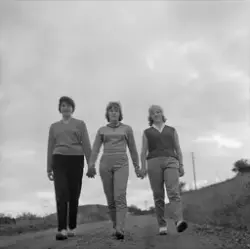 Jordbærplukkere på fritiden