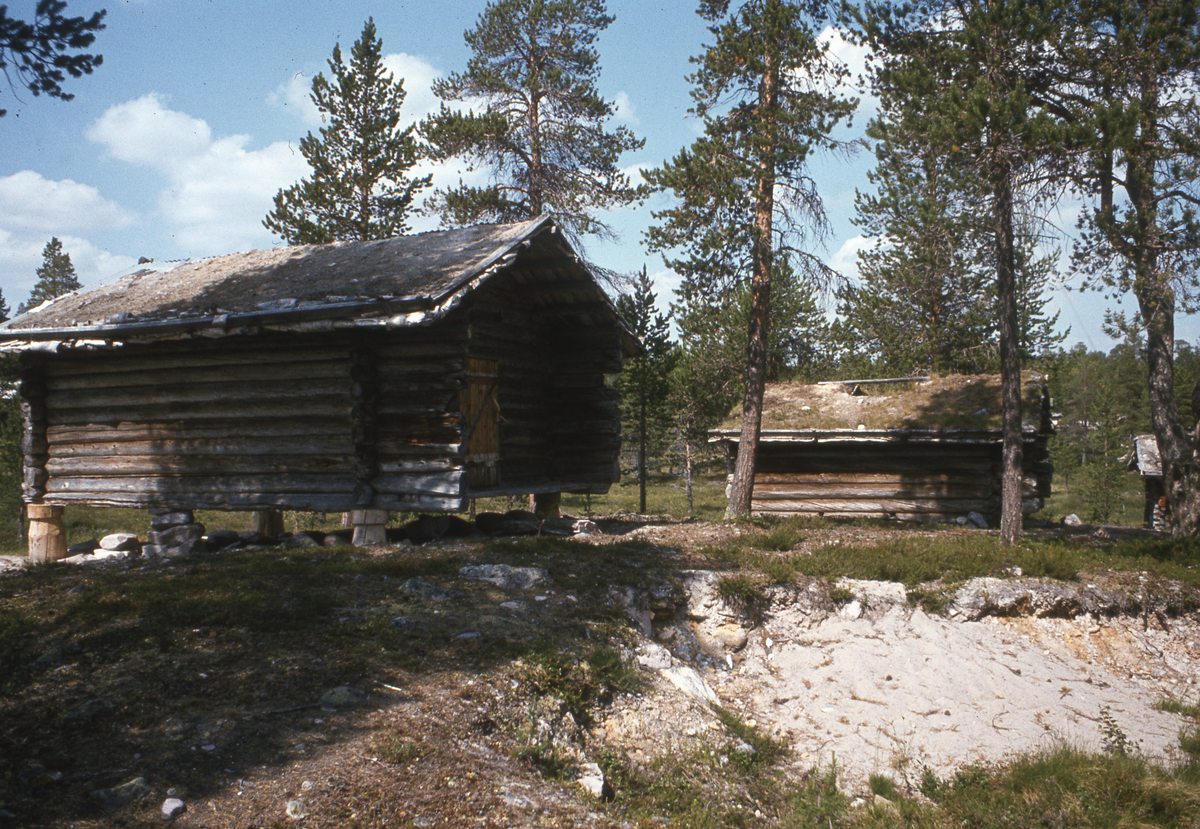 Buer og hytte Fiskevollen