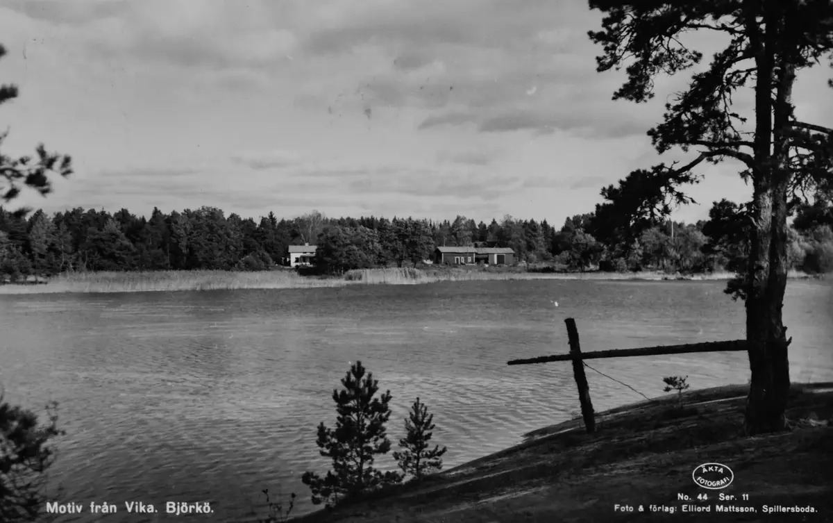 Vy över Vikasjön omkring 1950.