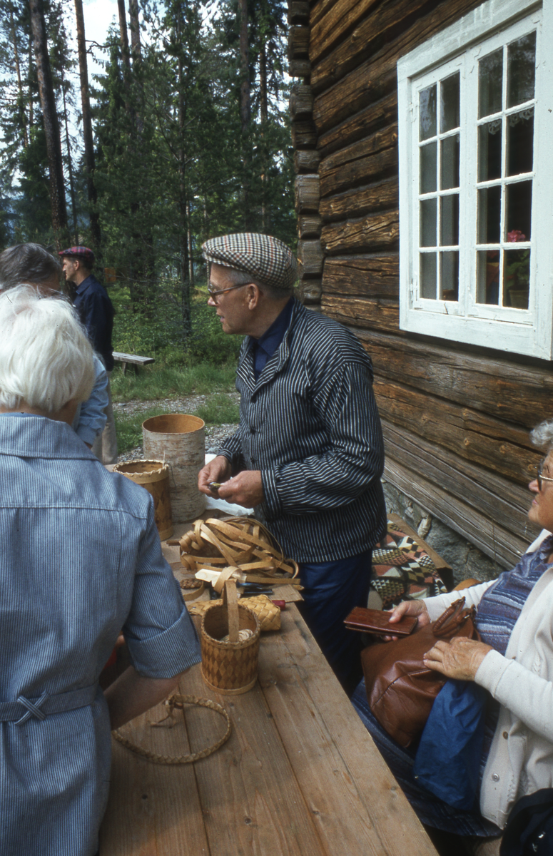 Liv i stuene på Odalstunet 1984