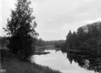 Parti av en stilla å i skymningsljus. Inga uppgifter har emellertid lämnat oss vilken eller var. Motiv ur Linköpingsfotografen Didrik von Essens samling. Daterad 1907.