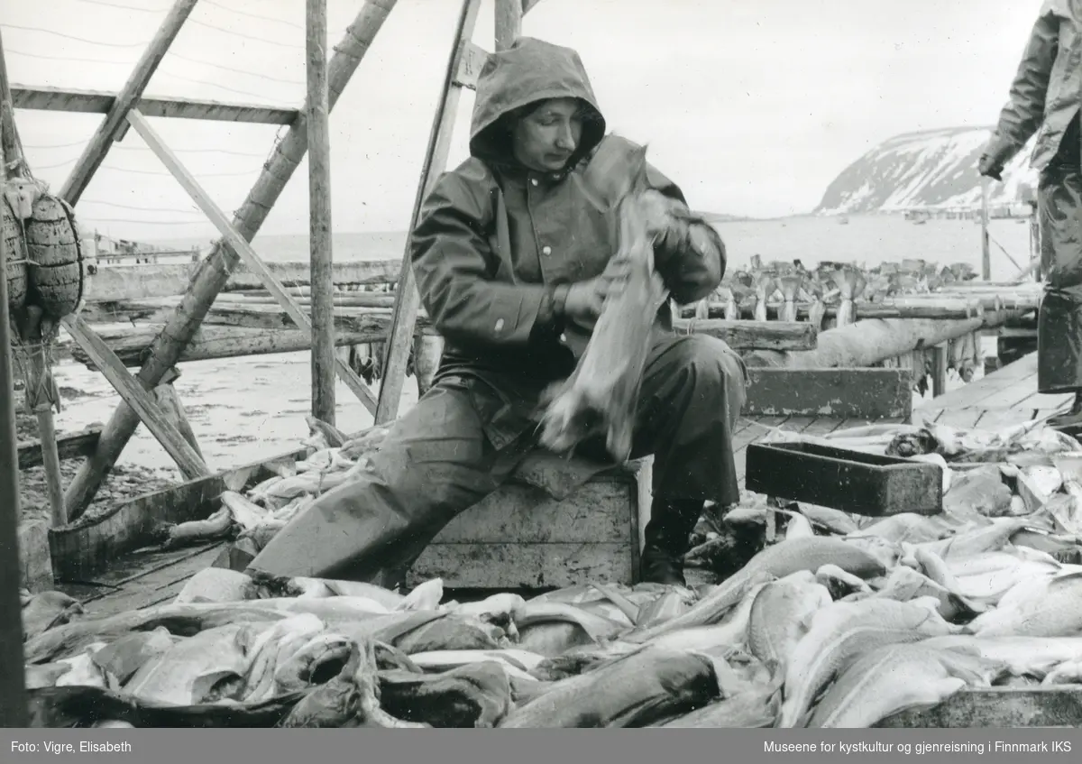 Sarnes. En kvinne sitter på en kasse på kaia og sorterer fisk til å henge på en fiskehjell til tørk. 1960/61.