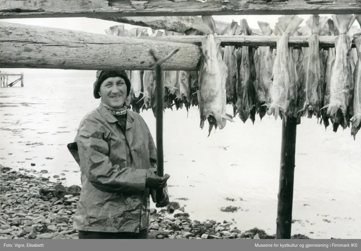 Sarnes. En mann henger fisk til tørk på en fiskehjell. 1960/61.