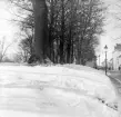 Vintervy utmed Ågatan i Linköping. I fonden skymtar läroverkets gymnastiksal till vänster och Biskopsgården vid gatans högra sida.