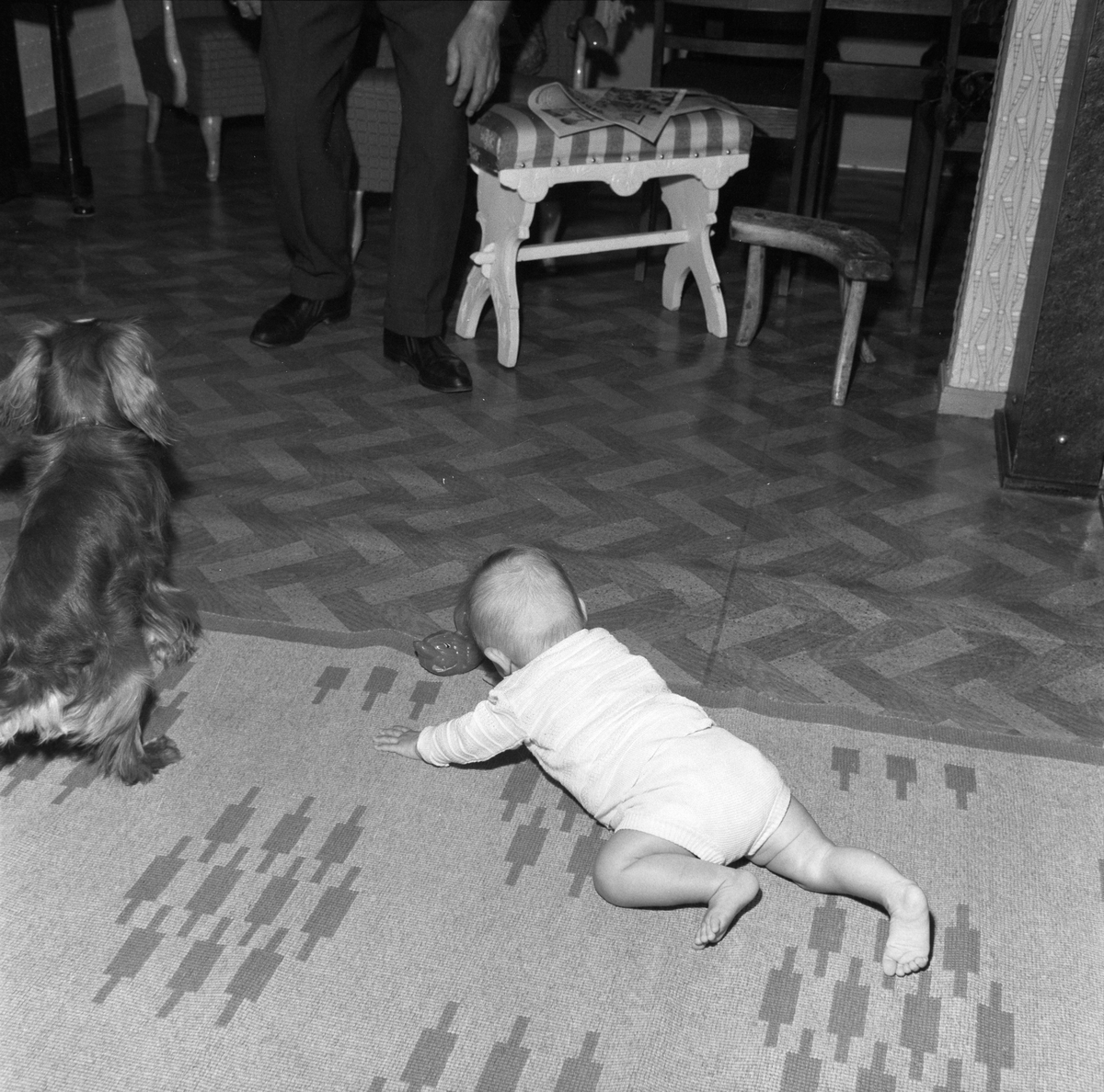 Familie med Adresseavisen