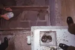 Flakstadvåg, 1975 : Her blandes våtfôr til laksen.