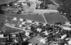 Rottne, 1951.