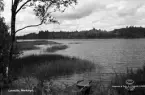 Markaryd, Lokasjön, 1949.