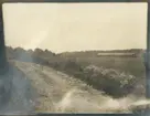 Foto taget i Prästnibble, Färingsö 1920.