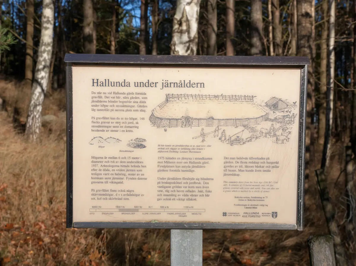 Hallunda gårds forntida gravfält. -Stockholms läns museum / DigitaltMuseum