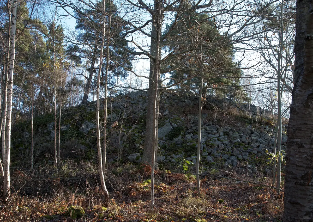 Hallunda bronsåldersröse -Stockholms läns museum / DigitaltMuseum
