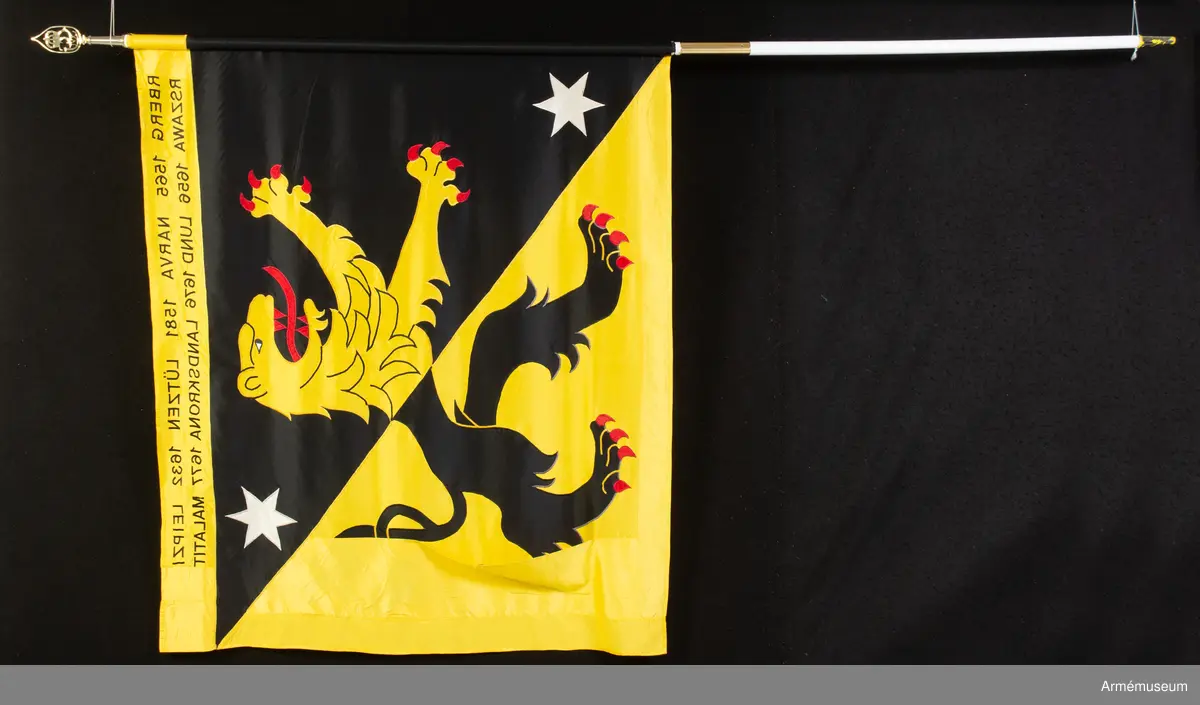 Fana för Skaraborgs regemente (P4), broderad på duk av kypertvävt siden..
På duk ginstyckad svart och gul landskapet Västergötlands vapenbild; ett upprest lejon av motsatta tinkturer med röd beväring, i övre vänstra och nedre högra hörnet av det svarta fältet åtföljt av en sexuddig vit stjärna. På gul bård i fanans överkant segernamn i svart.
Segernamn:
Varberg 1565 Warszawa 1565
Narva 1581 Lund 1676
Lützen 1632 Landskrona 1677
Leipzig 1642 Malatitze 1708

Graverad på holken på övre del av fanstången finns följande text: "Skaraborgs regemente 1995"
Fanspetsen med HM Konung Carl XVI Gustaf:s namnchiffer är av förgylld mässing och kan skruvas fast på holken.