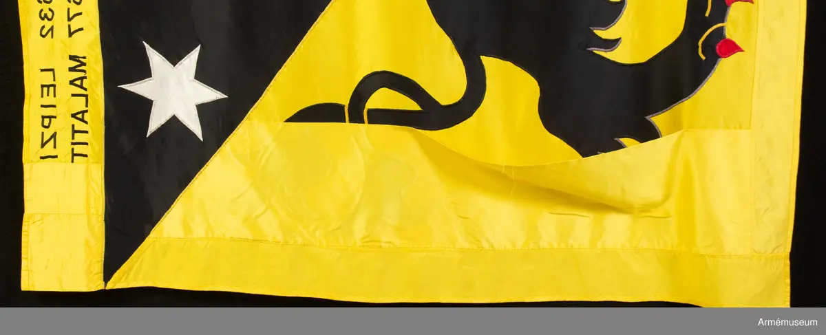 Fana för Skaraborgs regemente (P4), broderad på duk av kypertvävt siden..
På duk ginstyckad svart och gul landskapet Västergötlands vapenbild; ett upprest lejon av motsatta tinkturer med röd beväring, i övre vänstra och nedre högra hörnet av det svarta fältet åtföljt av en sexuddig vit stjärna. På gul bård i fanans överkant segernamn i svart.
Segernamn:
Varberg 1565 Warszawa 1565
Narva 1581 Lund 1676
Lützen 1632 Landskrona 1677
Leipzig 1642 Malatitze 1708

Graverad på holken på övre del av fanstången finns följande text: "Skaraborgs regemente 1995"
Fanspetsen med HM Konung Carl XVI Gustaf:s namnchiffer är av förgylld mässing och kan skruvas fast på holken.