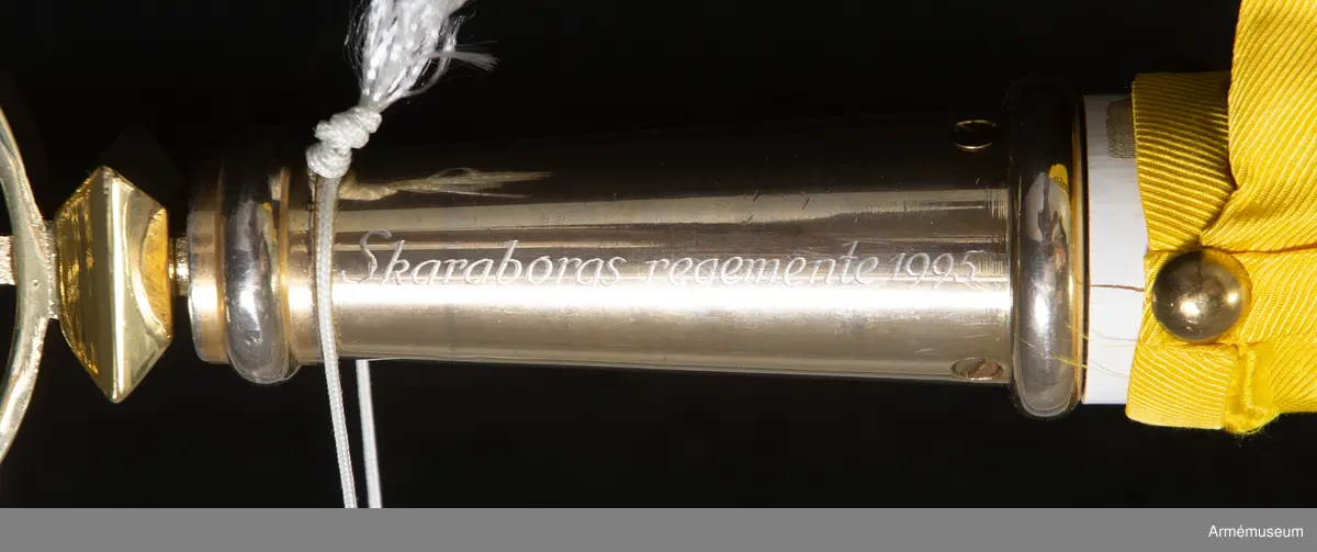 Fana för Skaraborgs regemente (P4), broderad på duk av kypertvävt siden..
På duk ginstyckad svart och gul landskapet Västergötlands vapenbild; ett upprest lejon av motsatta tinkturer med röd beväring, i övre vänstra och nedre högra hörnet av det svarta fältet åtföljt av en sexuddig vit stjärna. På gul bård i fanans överkant segernamn i svart.
Segernamn:
Varberg 1565 Warszawa 1565
Narva 1581 Lund 1676
Lützen 1632 Landskrona 1677
Leipzig 1642 Malatitze 1708

Graverad på holken på övre del av fanstången finns följande text: "Skaraborgs regemente 1995"
Fanspetsen med HM Konung Carl XVI Gustaf:s namnchiffer är av förgylld mässing och kan skruvas fast på holken.