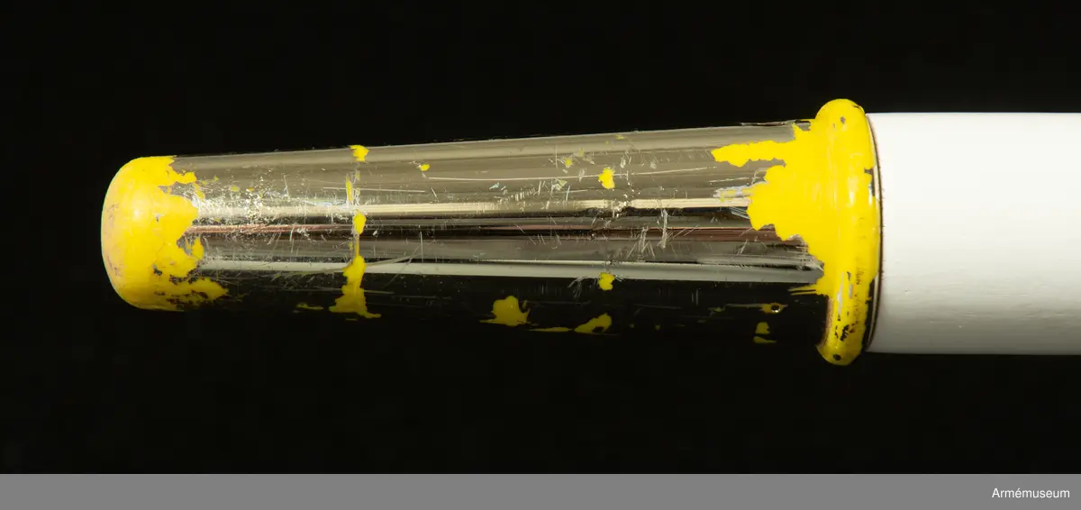 Fana för Skaraborgs regemente (P4), broderad på duk av kypertvävt siden..
På duk ginstyckad svart och gul landskapet Västergötlands vapenbild; ett upprest lejon av motsatta tinkturer med röd beväring, i övre vänstra och nedre högra hörnet av det svarta fältet åtföljt av en sexuddig vit stjärna. På gul bård i fanans överkant segernamn i svart.
Segernamn:
Varberg 1565 Warszawa 1565
Narva 1581 Lund 1676
Lützen 1632 Landskrona 1677
Leipzig 1642 Malatitze 1708

Graverad på holken på övre del av fanstången finns följande text: "Skaraborgs regemente 1995"
Fanspetsen med HM Konung Carl XVI Gustaf:s namnchiffer är av förgylld mässing och kan skruvas fast på holken.