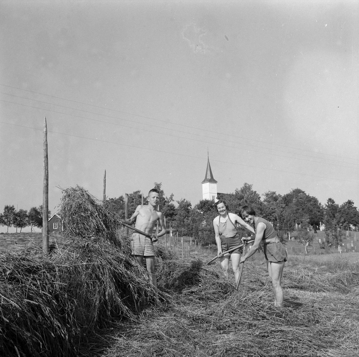 Slåtton på Leinstrand