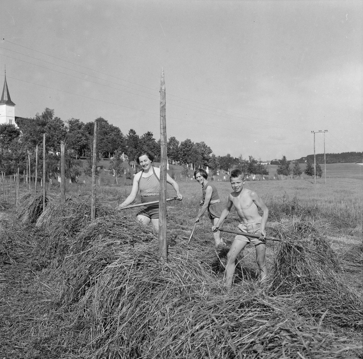 Slåtton på Leinstrand