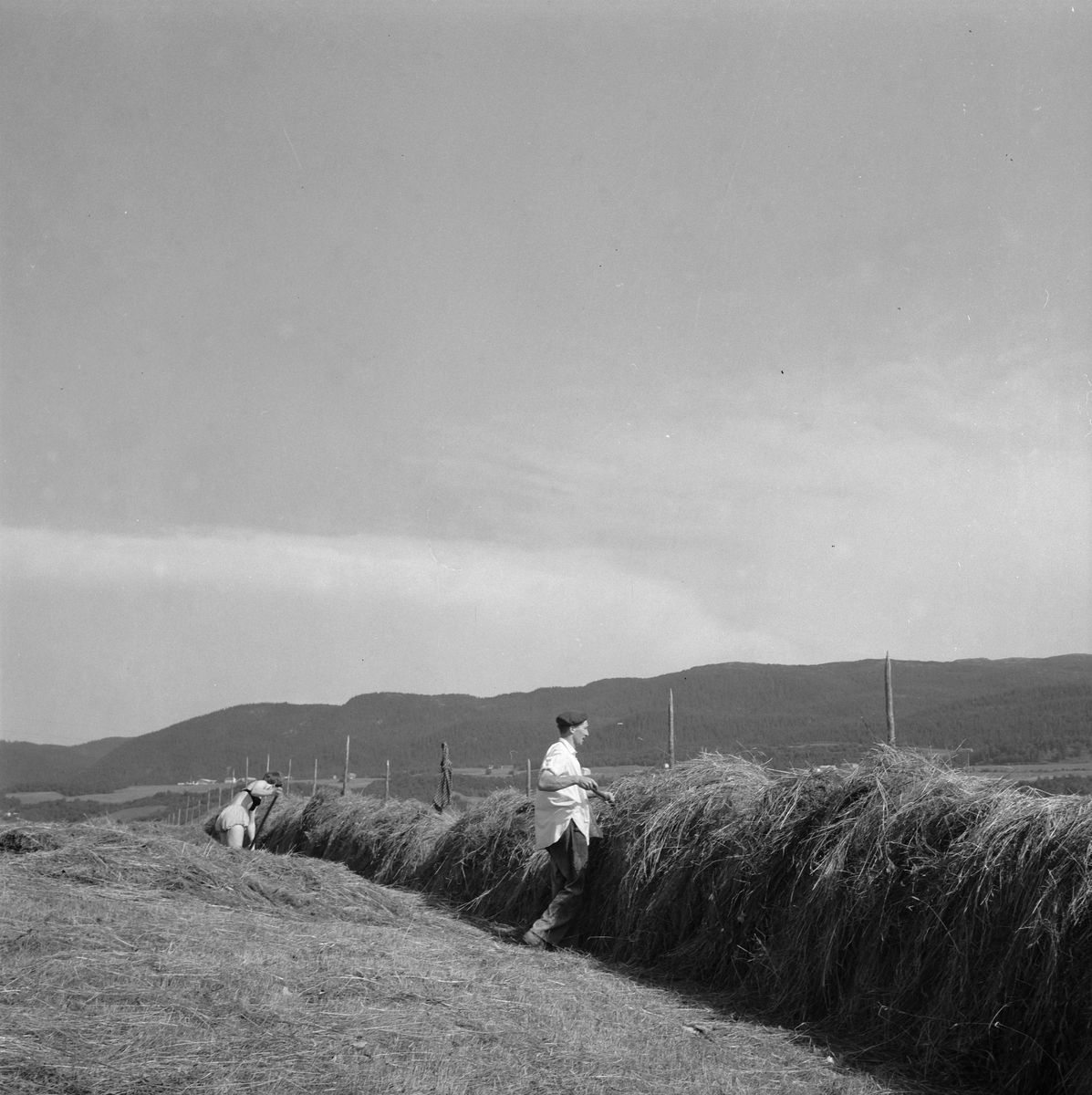 Slåtton på Leinstrand