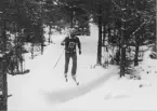 Fyrlingen. Skidåkning i Hemlingby14 februrari 1981.