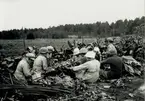 De skördade tobaksbladen träs på käppar för att, därefter, hängas upp på tork i tobakslador. Stockholm 1921.