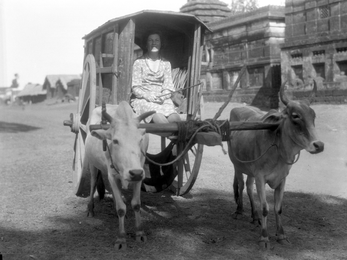 Stella Mead i oksekjerre i omegnen av Puri. Fotografi tatt i forbindelse med Elisabeth Meyers reise til India 1932-33.