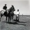 Petrus Kastenman (t.v) rider en remont på Ottenby.