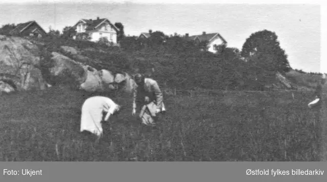Kjølberg/ Seut- elva, studenter på botaniseringstur 1927 i Onsøy.