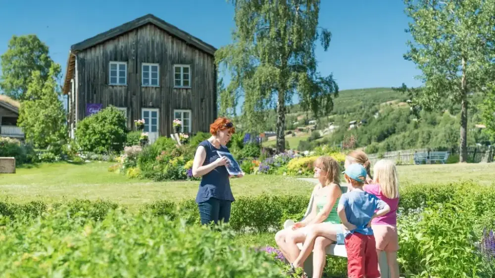Ullinsvin