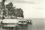 Vy av den malaysiska byn Bang Nara
Södra Siam 1938.