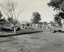 Brädgård.
Tändsticksindustri, Pakistan 1964.