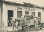 Transport av tobak. 
Brasilien, tobaksindustri.