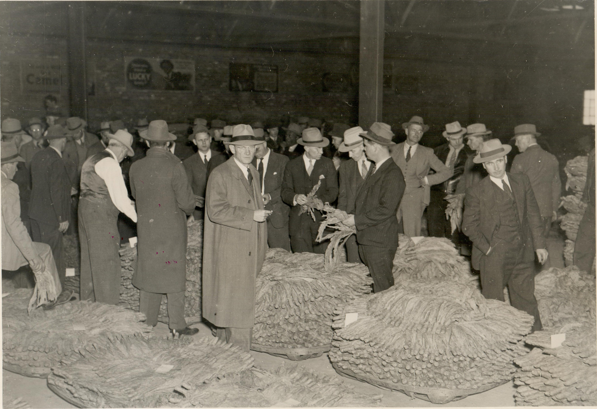 Tobaksauktion, Virginia Tobacco company. 
Daneville, Virginia 1946.