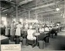 Sortering av tobak. Arbetare inuti fabrik. Tobaksproduktion.
R.P Watson CO, Wilson, North Carolina.
Utland, USA.